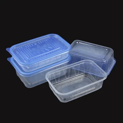 Hot Selling Rectangle Disposable Plastic Take Away Food Containers