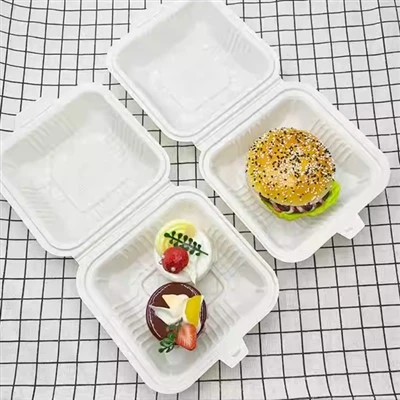 6x9 One-piece American Disposable Lunch Box Plastic