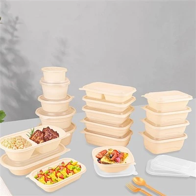 Circular Rectangular Biodegradable Disposable Lunch Box