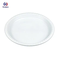 Disposable Dinner Plates