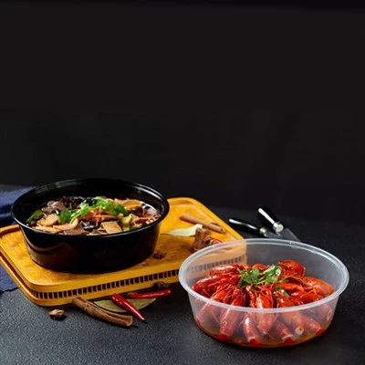 Disposable Extra Large Capacity Lunch Box