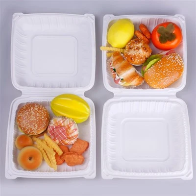 Disposable Fast Food Box Made Of White Plastic