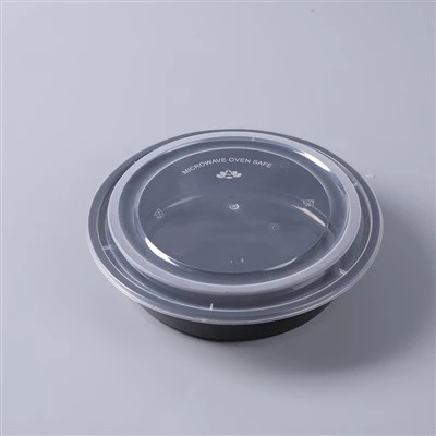 Disposable Food Boxes