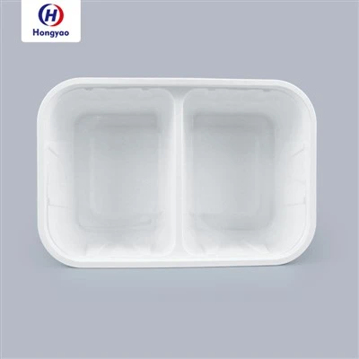 Disposable Food Packaging