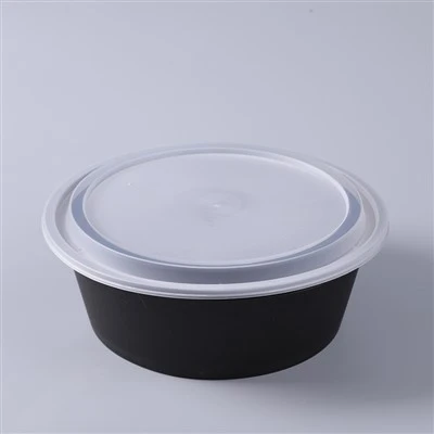Disposable Hot Food Containers