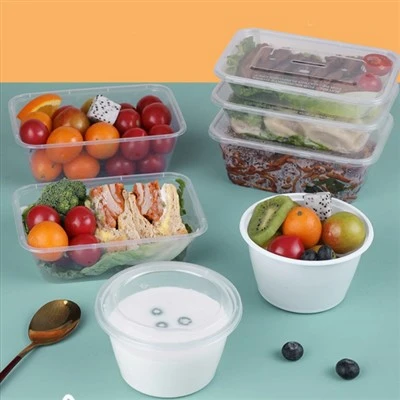 Multi Purpose Thick Plastic Food Packaging Lunch Box
