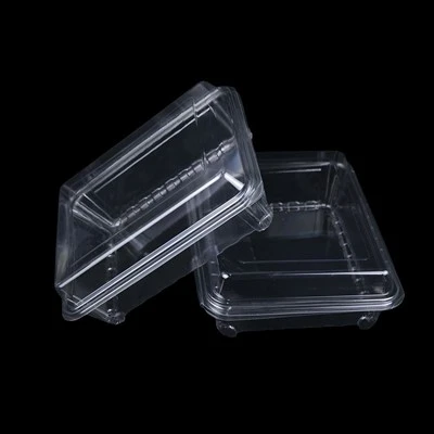 Disposable Packaging Box