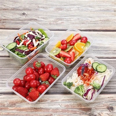 Disposable Rectangle Take Away Food Plastic Container