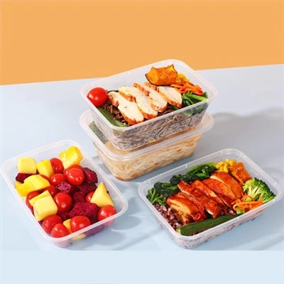 Disposable Square Packaged Dining Box Camping Utensils