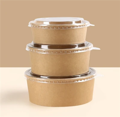 Factory Directly Sale Kraft Paper Salad Bowl