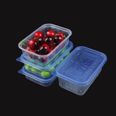 Microwave Food Grade Fruit Preservation Plastic Lunch Box