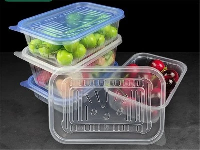 Plastic Food Container Transparent