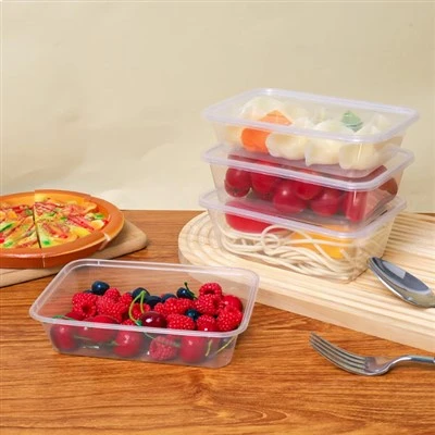 Plastic Lunch Box, Transparent Food Fast Food Box