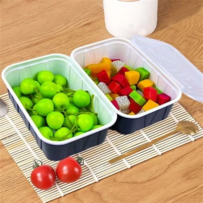 Rectangle Food Container Disposable