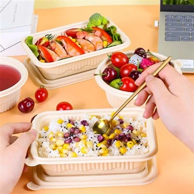 Rectangular Covered Packaging Box For Takeout Fast Food