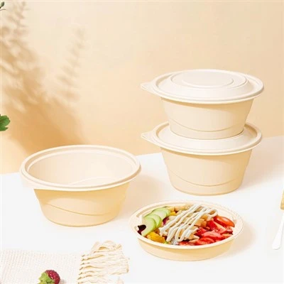 Elliptical Disposable Biodegradable Packaging Lunch Box