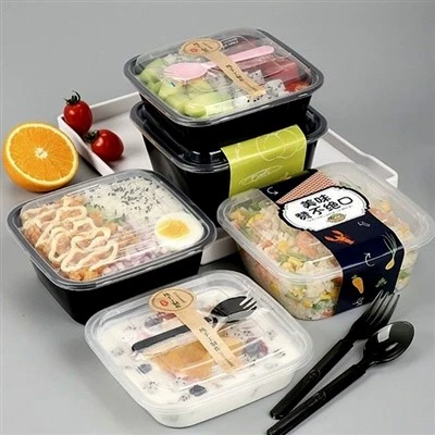 Square Takeaway Bento Box With Thick Plastic Cover