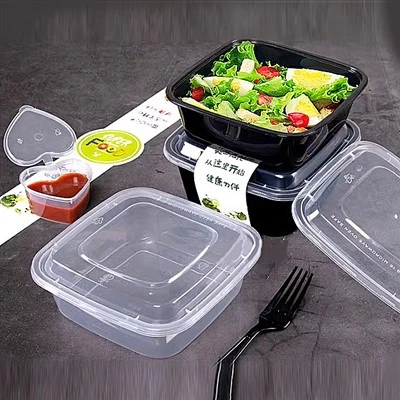 Square Takeaway Packaged Salad Light Food With Lid