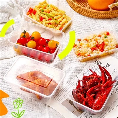 500/650/750/1000 Multi Specification Rectangular Lunch Box With Lid