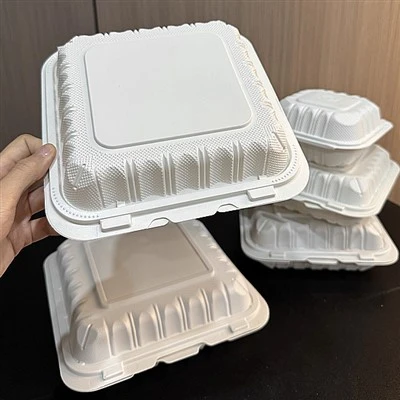 Tiramisu Sandwich Dessert Disposable Picnic Lunch Box